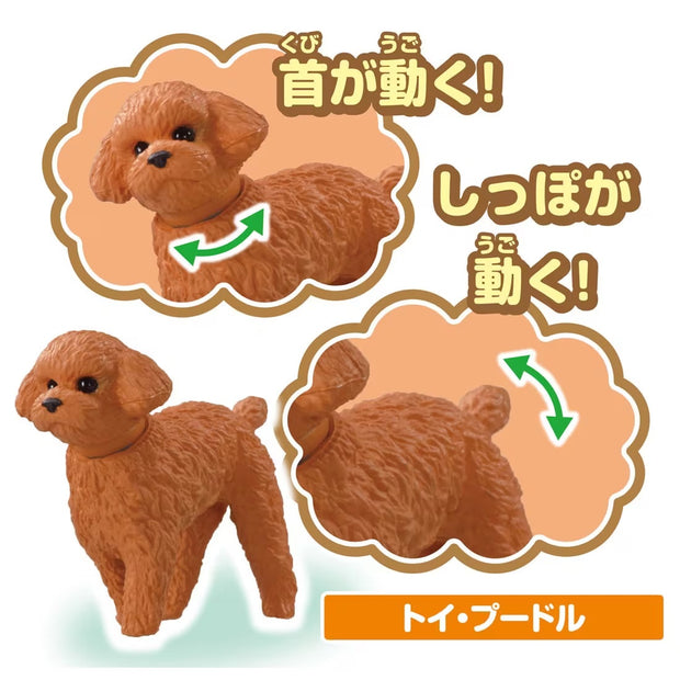 Ania Dog & Cat Set