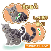 Ania Dog & Cat Set