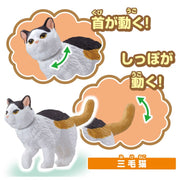 Ania Dog & Cat Set