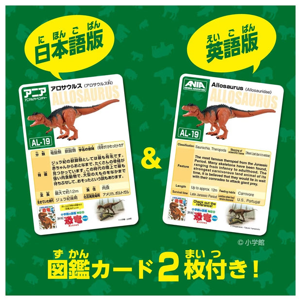 Ania AL-19 Allosaurus