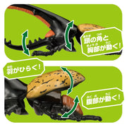 Ania AL-17 Hercules Beetle