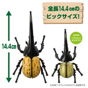 Ania AL-17 Hercules Beetle