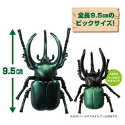 Ania AL-18 Atlas Beetle