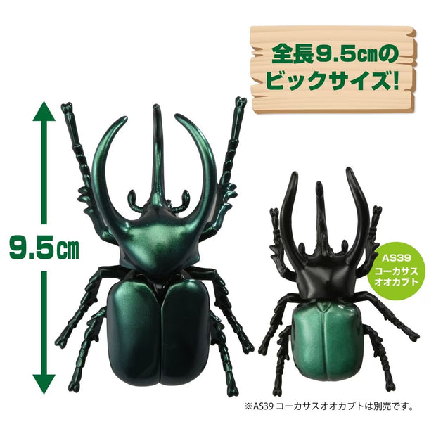 Ania AL-18 Atlas Beetle