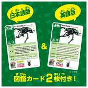 Ania AL-18 Atlas Beetle