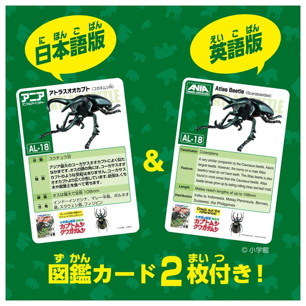 Ania AL-18 Atlas Beetle