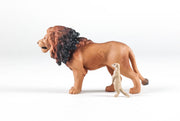 Ania AS-01 Lion (with Suricata Suricata)