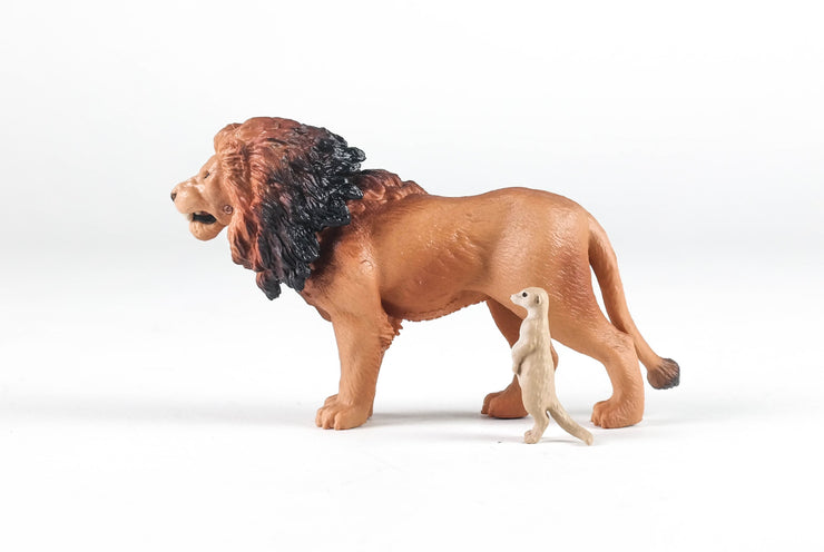 Ania AS-01 Lion (with Suricata Suricata)