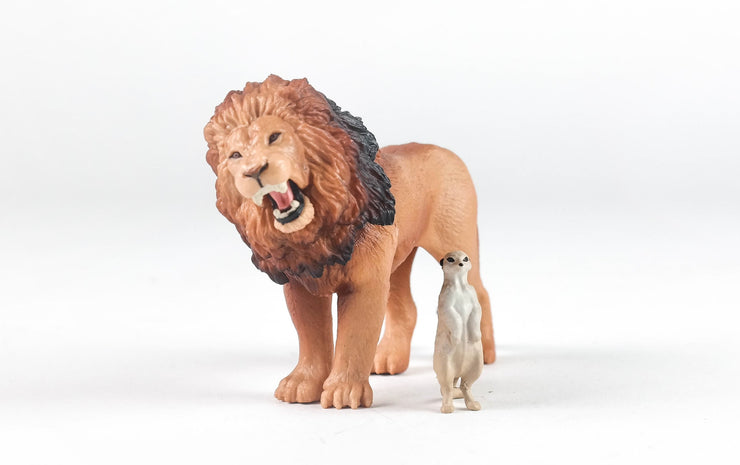 Ania AS-01 Lion (with Suricata Suricata)