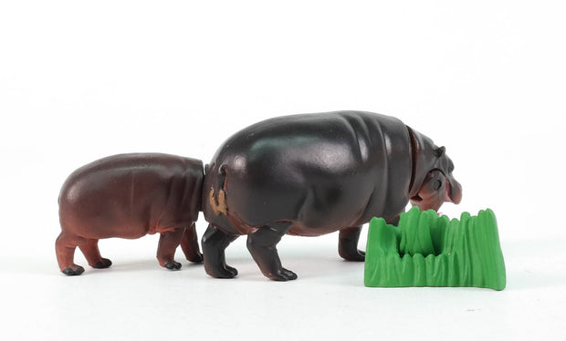 Ania AS-16 Pygmy Hippopotamus