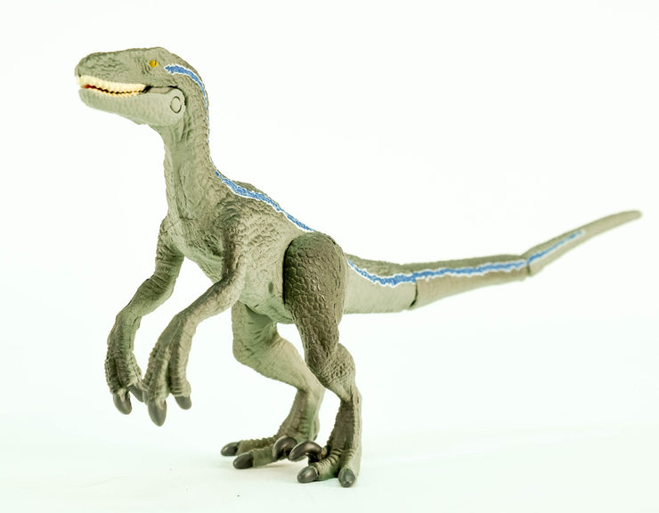 Ania Jurassic World Blue