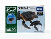 Ania AS-20 Green Sea Turtle