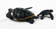 Ania AS-20 Green Sea Turtle