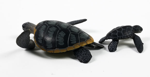 Ania AS-20 Green Sea Turtle