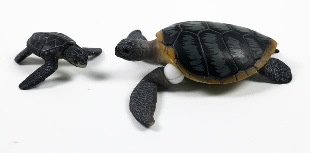 Ania AS-20 Green Sea Turtle