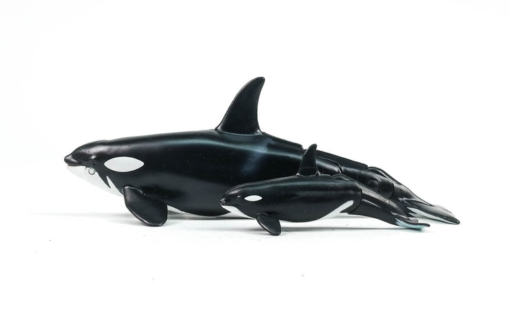Ania AL-08 Killer Whale (Floatable Ver)