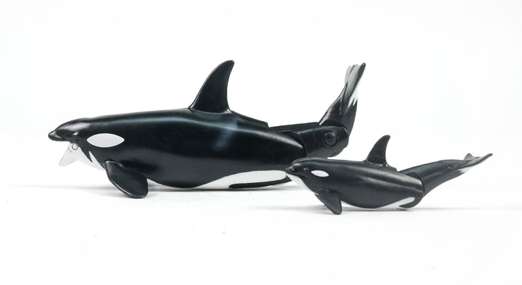 Ania AL-08 Killer Whale (Floatable Ver)