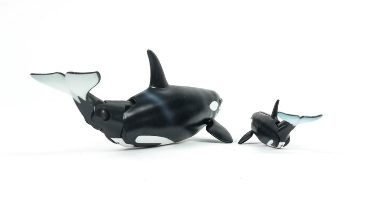 Ania AL-08 Killer Whale (Floatable Ver)