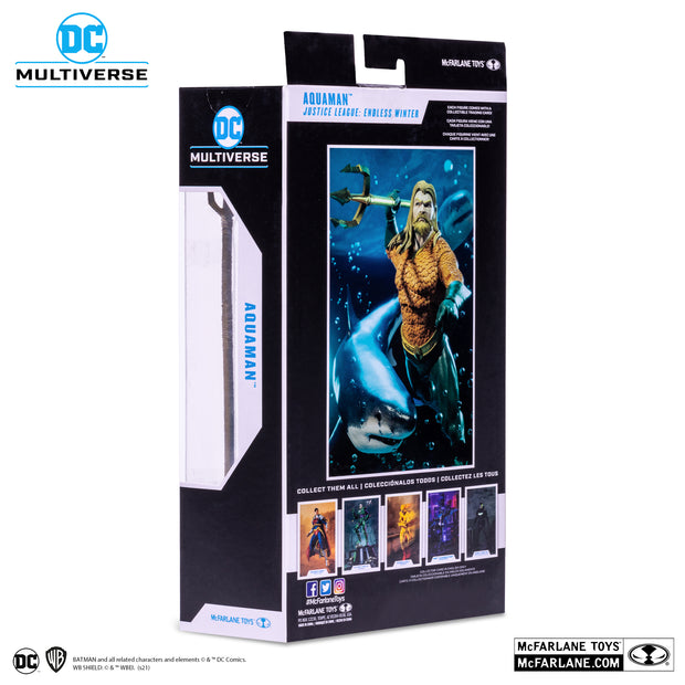 DC Multiverse 7 inch Aquaman (Endless Winter)