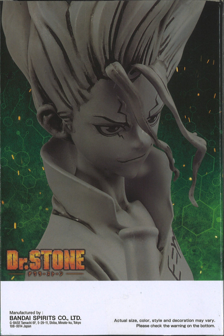 Dr Stone Figure Of Stone World Gen Asagiri & Senku Ishigami (B: Senku Ishigami)