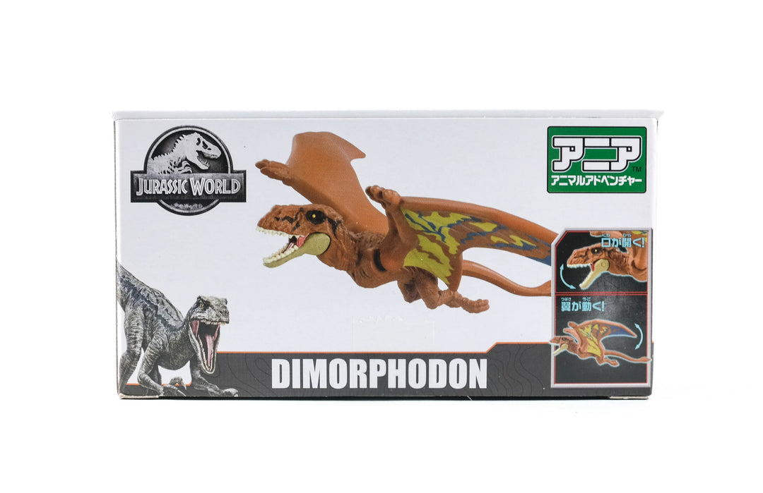 Jurassic World : le Dimorphodon, hasbro 2015
