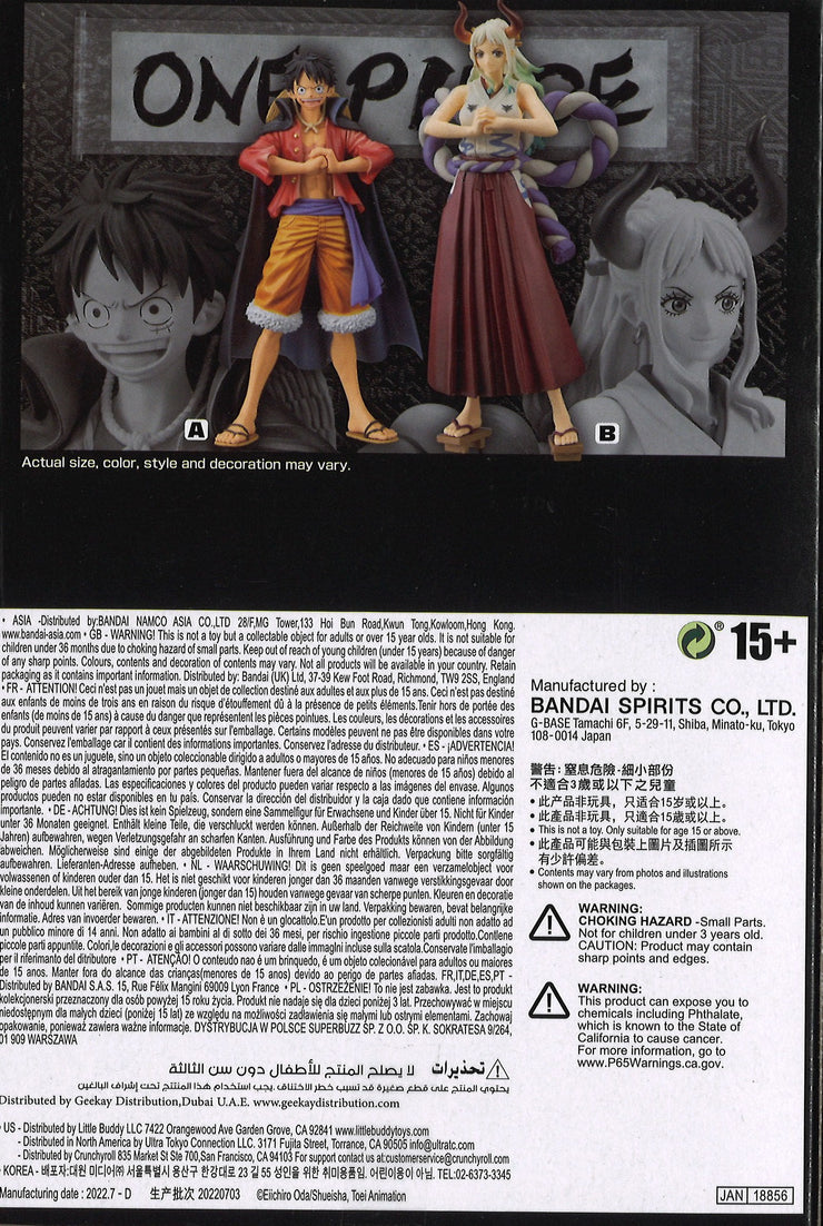 One Piece The Grandline Series Wanokuni Vol.4 (A: Monkey D Luffy)