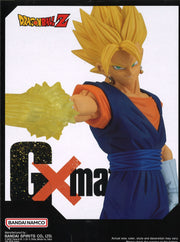 Dragon Ball Z G x Materia The Vegito