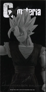 Dragon Ball Z G x Materia The Vegito