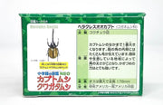 Ania AS-38 Hercules Beetle