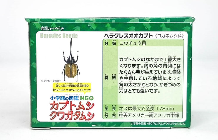Ania AS-38 Hercules Beetle