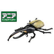 Ania AS-38 Hercules Beetle