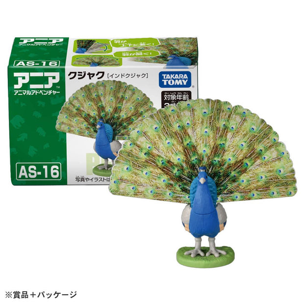 Ania AS-16 Peacock