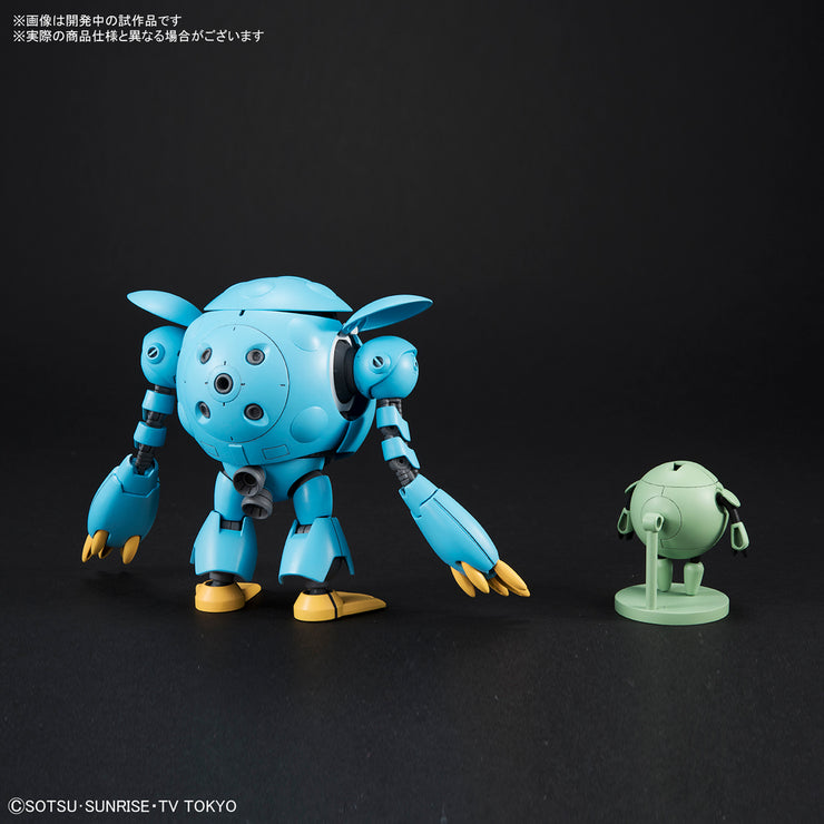 HG 1/144 MOMOKAPOOL