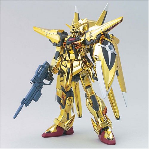 Hg Oowashi Akatsuki Gundam