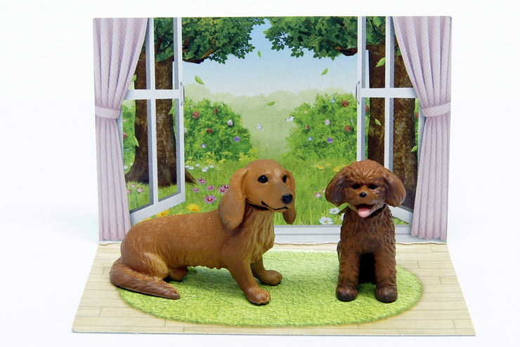 ANIA AP-02 MINIATURE DACHSHUND & TOY POODLE