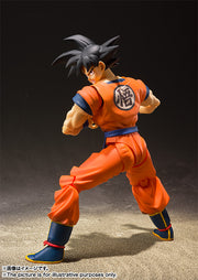 SHF Gokou A Saiyan Raised On Earth