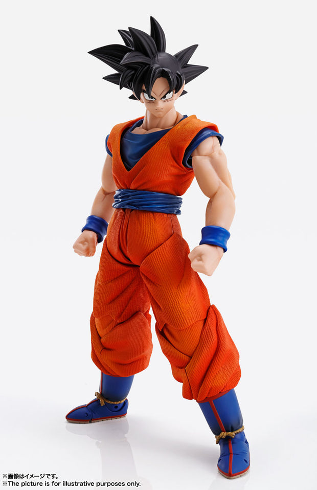 IW Imagination Works Son Goku