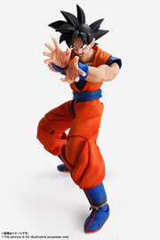 IW Imagination Works Son Goku