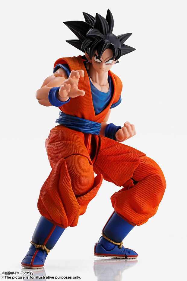 IW Imagination Works Son Goku