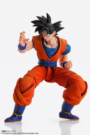 IW Imagination Works Son Goku