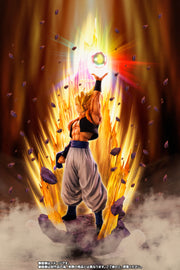 Figuarts Zero Super Saiyan Gogeta Fusion Reborn