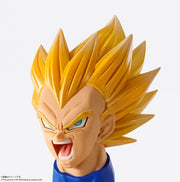 Imagination Works Vegeta