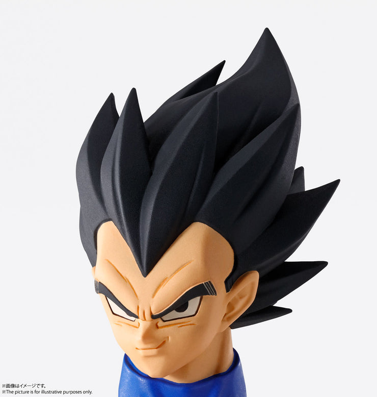 Imagination Works Vegeta