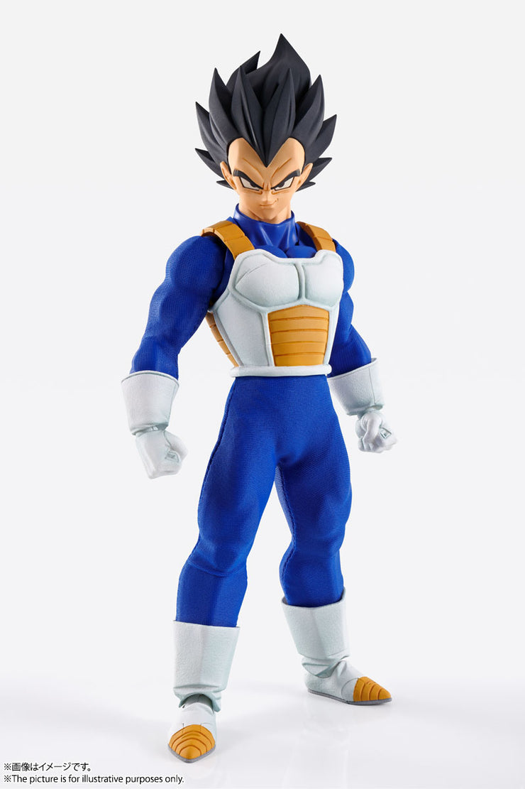 Imagination Works Vegeta