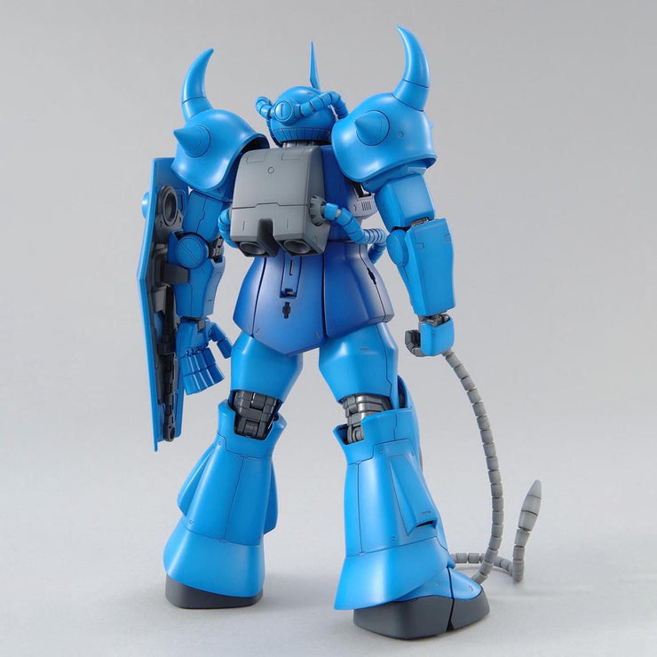 Mg 1/100 Gouf Ver.2.0