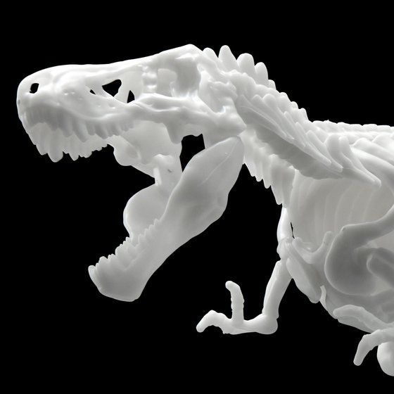 Dinosaur Model Kit Limex Skeleton Tyrannosaurus