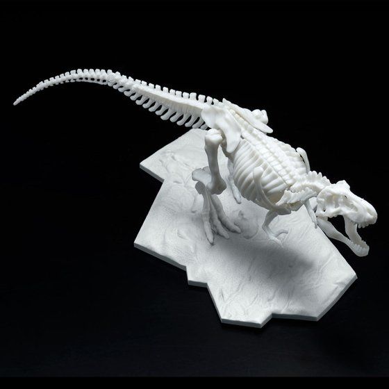 Dinosaur Model Kit Limex Skeleton Tyrannosaurus