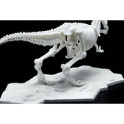 Dinosaur Model Kit Limex Skeleton Tyrannosaurus