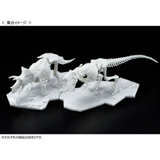 Dinosaur Model Kit Limex Skeleton Tyrannosaurus