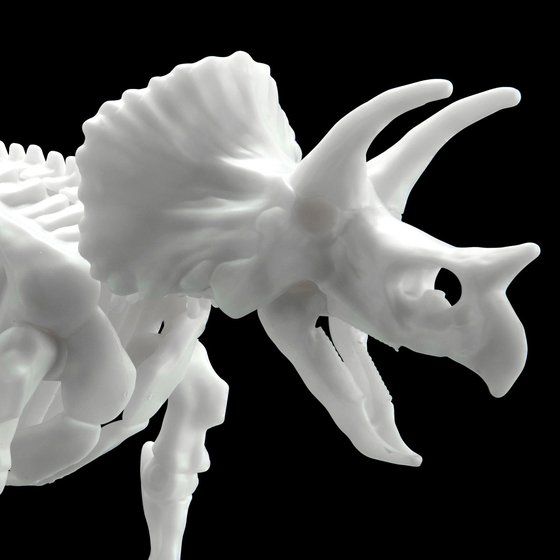 Dinosaur Model Kit Limex Skeleton Triceratops